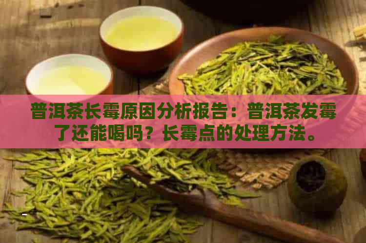 普洱茶长霉原因分析报告：普洱茶发霉了还能喝吗？长霉点的处理方法。