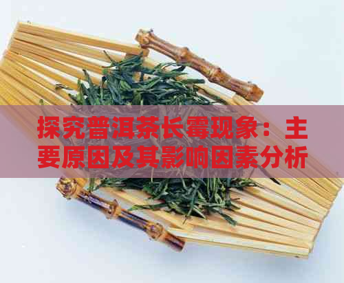 探究普洱茶长霉现象：主要原因及其影响因素分析