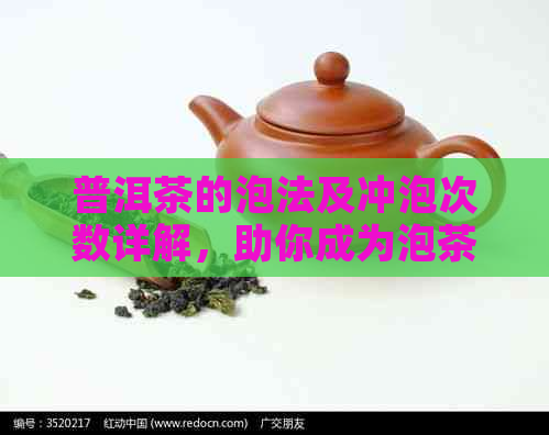 普洱茶的泡法及冲泡次数详解，助你成为泡茶达人