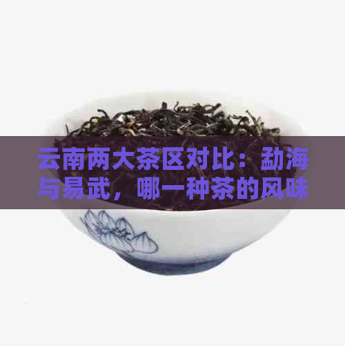 云南两大茶区对比：勐海与易武，哪一种茶的风味更胜一筹？