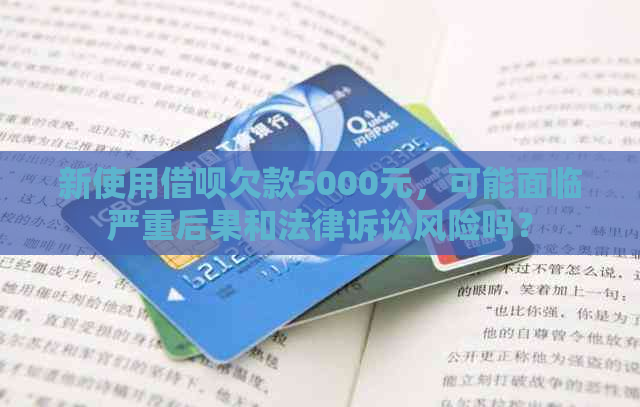 新使用借呗欠款5000元，可能面临严重后果和法律诉讼风险吗？