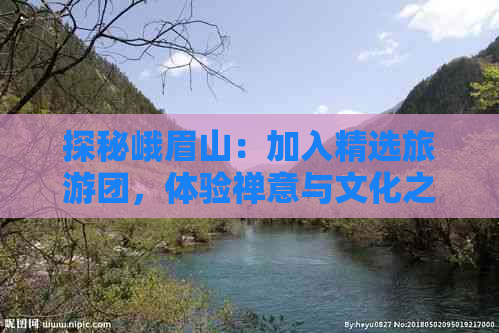 探秘峨眉山：加入精选旅游团，体验禅意与文化之旅