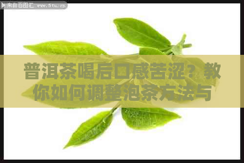 普洱茶喝后口感苦涩？教你如何调整泡茶方法与品饮技巧，让普洱茶更美味！