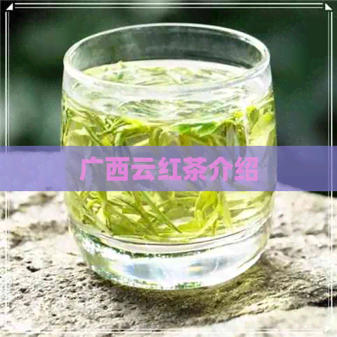 广西云红茶介绍