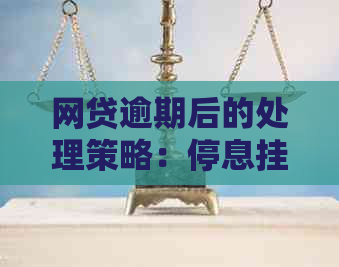 网贷逾期后的处理策略：停息挂账申请条件分析与操作指南