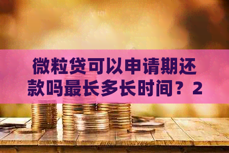 微粒贷可以申请期还款吗最长多长时间？2020年