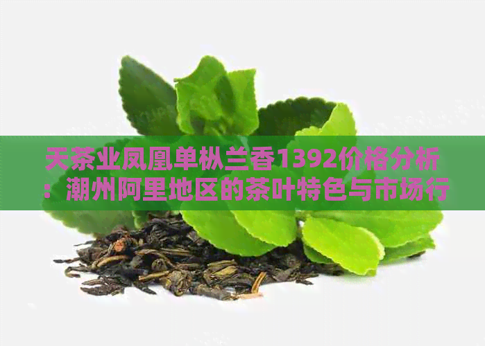 天茶业凤凰单枞兰香1392价格分析：潮州阿里地区的茶叶特色与市场行情