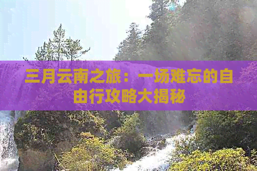 三月云南之旅：一场难忘的自由行攻略大揭秘