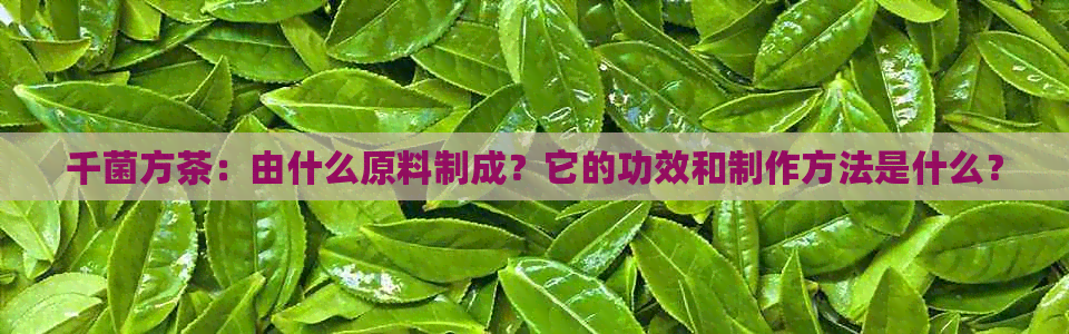 千菌方茶：由什么原料制成？它的功效和制作方法是什么？