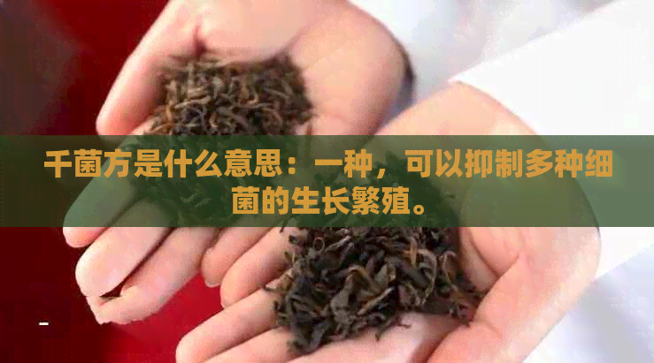 千菌方是什么意思：一种，可以抑制多种细菌的生长繁殖。