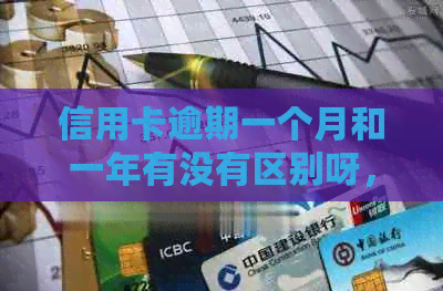 信用卡逾期一个月和一年有没有区别呀，2021年怎么查？