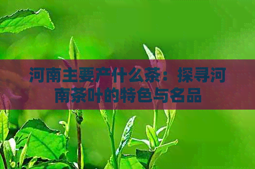 河南主要产什么茶：探寻河南茶叶的特色与名品