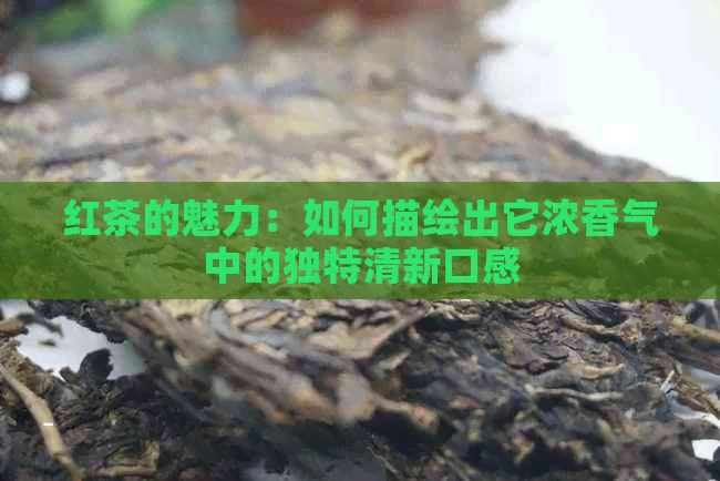 红茶的魅力：如何描绘出它浓香气中的独特清新口感