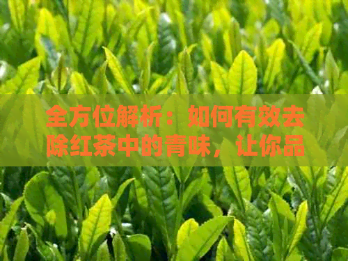 全方位解析：如何有效去除红茶中的青味，让你品尝更美味的红茶