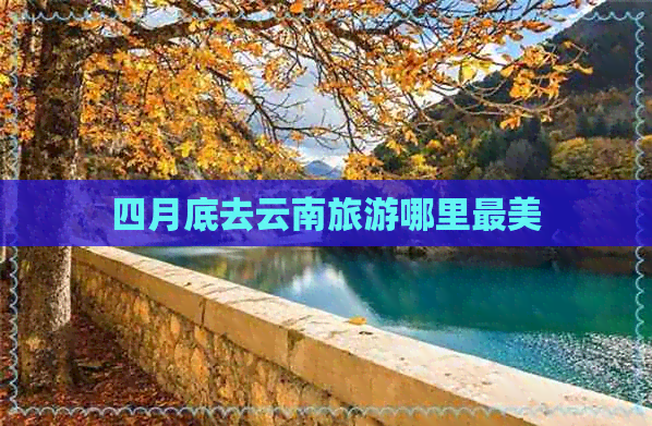 四月底去云南旅游哪里最美