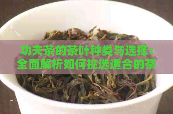 功夫茶的茶叶种类与选择：全面解析如何挑选适合的茶叶