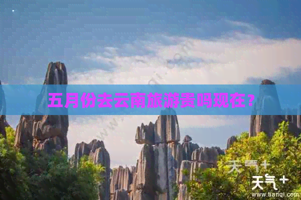 五月份去云南旅游贵吗现在？