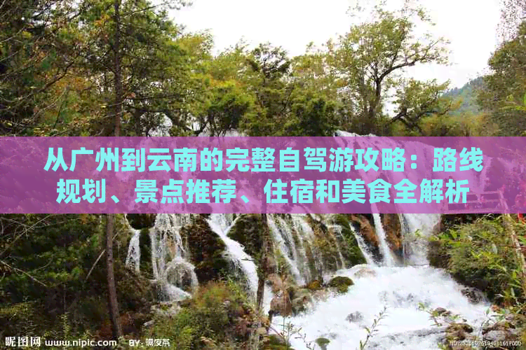 从广州到云南的完整自驾游攻略：路线规划、景点推荐、住宿和美食全解析