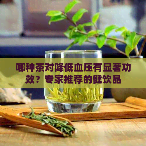 哪种茶对降低血压有显著功效？专家推荐的健饮品