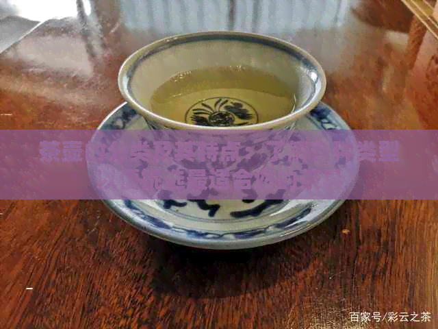 茶壶的分类及其特点：了解各种类型以便挑选最适合您的茶具