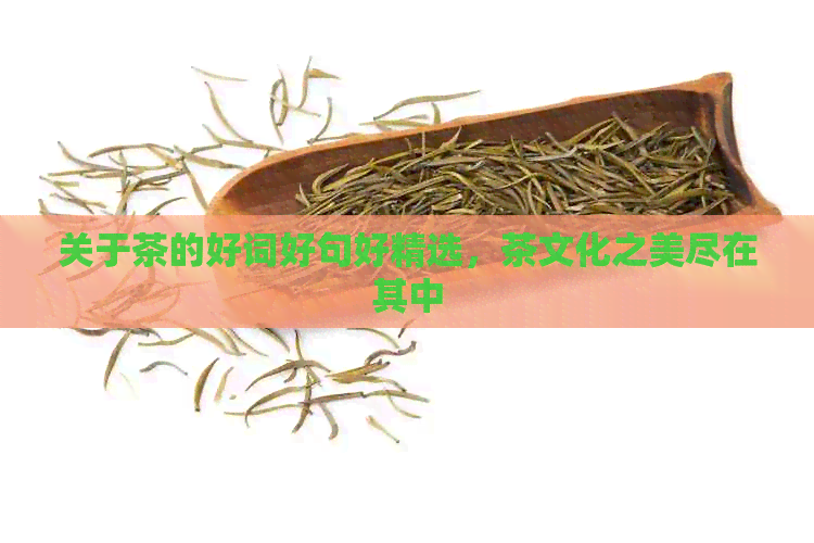 关于茶的好词好句好精选，茶文化之美尽在其中