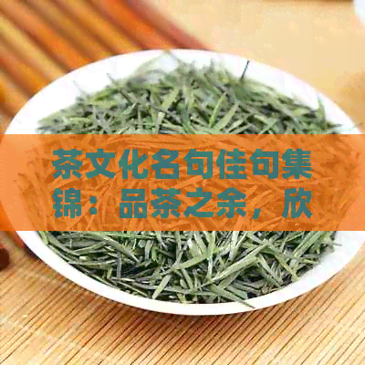 茶文化名句佳句集锦：品茶之余，欣美文佳句，感受茶文化的韵味