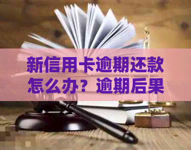 新信用卡逾期还款怎么办？逾期后果、解决方案及预防措一文解析！