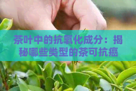 茶叶中的抗氧化成分：揭秘哪些类型的茶可抗癌