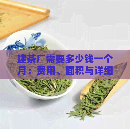 建茶厂需要多少钱一个月：费用、面积与详细计算