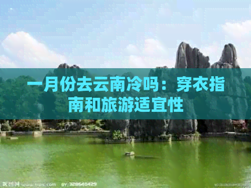 一月份去云南冷吗：穿衣指南和旅游适宜性