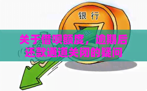 关于借呗额度，逾期后还款通道关闭的疑问