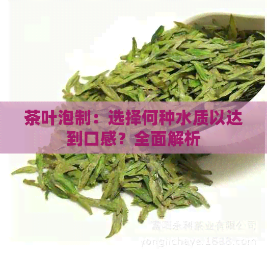 茶叶泡制：选择何种水质以达到口感？全面解析