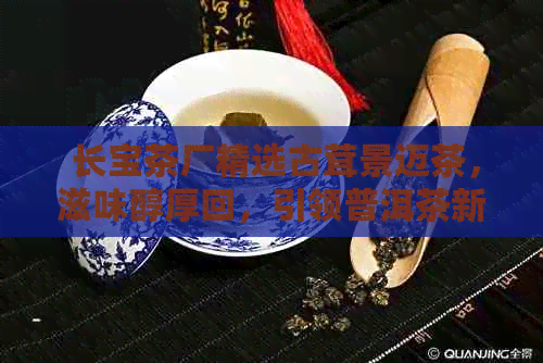  长宝茶厂精选古茸景迈茶，滋味醇厚回，引领普洱茶新潮流