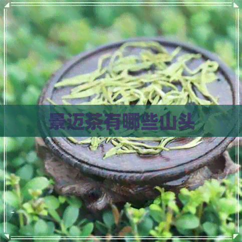 景迈茶有哪些山头