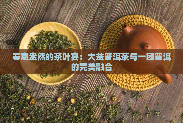 春意盎然的茶叶宴：大益普洱茶与一团普洱的完美融合