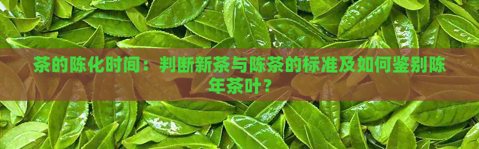 茶的陈化时间：判断新茶与陈茶的标准及如何鉴别陈年茶叶？