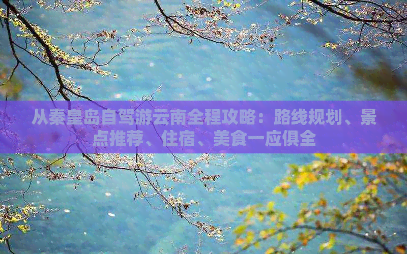 从秦皇岛自驾游云南全程攻略：路线规划、景点推荐、住宿、美食一应俱全