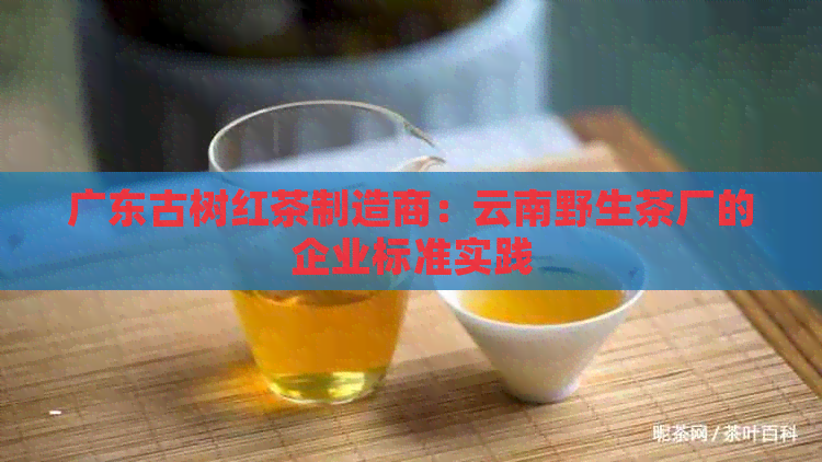 广东古树红茶制造商：云南野生茶厂的企业标准实践