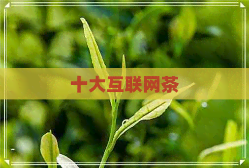 十大互联网茶