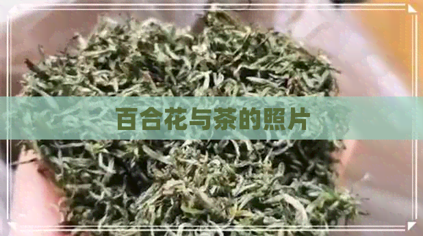 百合花与茶的照片