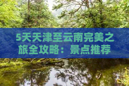 5天天津至云南完美之旅全攻略：景点推荐、交通指南、住宿及美食一应俱全