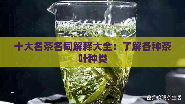 十大名茶名词解释大全：了解各种茶叶种类