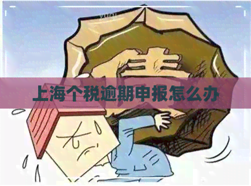 上海个税逾期申报怎么办