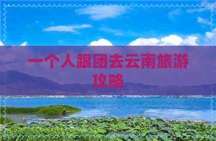 一个人跟团去云南旅游攻略