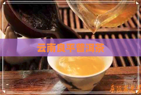 云南良平普洱茶