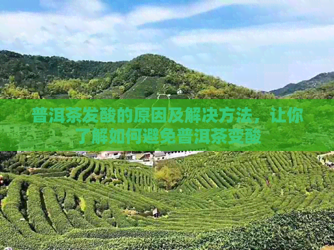 普洱茶发酸的原因及解决方法，让你了解如何避免普洱茶变酸