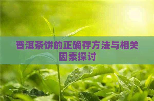 普洱茶饼的正确存方法与相关因素探讨