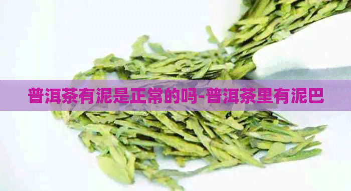 普洱茶有泥是正常的吗-普洱茶里有泥巴