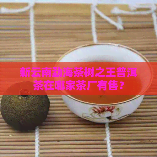 新云南勐海茶树之王普洱茶在哪家茶厂有售？