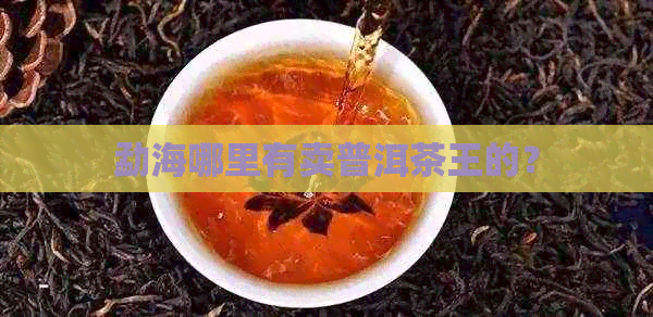 勐海哪里有卖普洱茶王的？